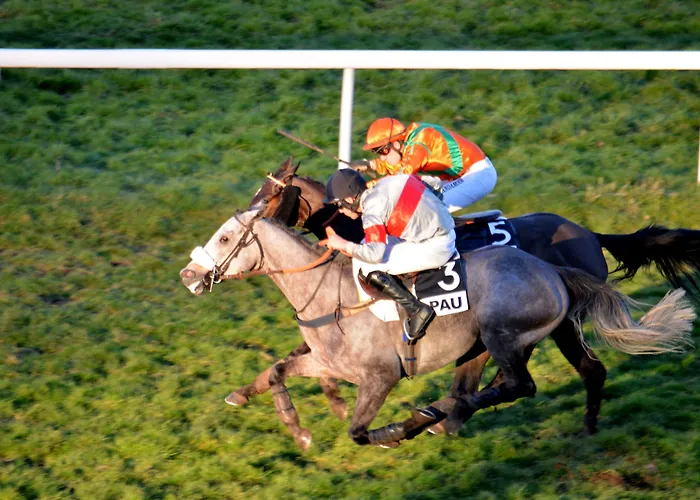 Parc Beaumont & - Mgallery Collection 波城