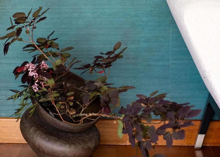 酒店 Parc Beaumont & - Mgallery Collection 波城